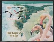 Cuba 2007 Tourism & Wildlife imperf m/sheet unmounted mint, SG MS5074