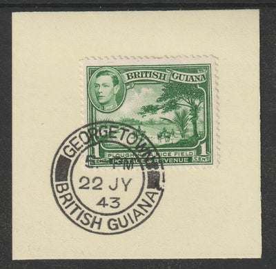 British Guiana 1938 KG6 Pictorial 1c green(SG308a) on piece with full strike of Madame Joseph forged postmark type 72