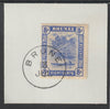 Brunei 1924 River Scene 8c ultramarine (SG71) on piece with full strike of Madame Joseph forged postmark type 104