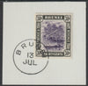Brunei 1907 River Scene 30c violet & black (SG31) on piece with full strike of Madame Joseph forged postmark type 104