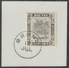 Brunei 1924 River Scene 8c grey-black (SG72) on piece with full strike of Madame Joseph forged postmark type 104