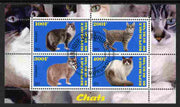 Burundi 2011 Domestic Cats #3 - blue background perf sheetlet containing 4 values fine cto used