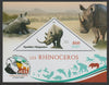 Madagascar 2019 Darwin 160th Anniversary of Publication of The Origin of Species - Rhinos #3 perf deluxe sheet containing one triangular value unmounted mint