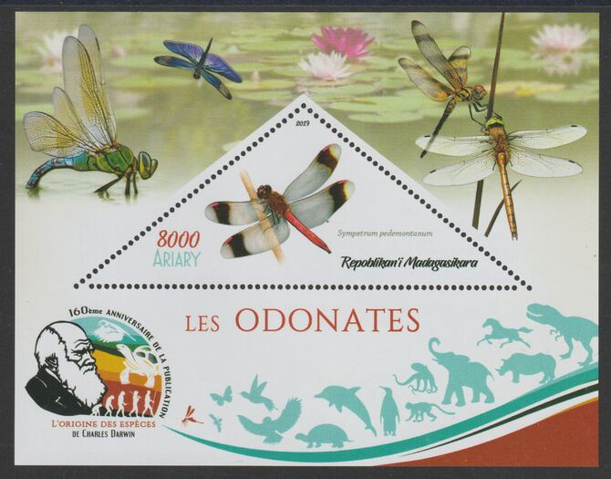 Madagascar 2019 Darwin 160th Anniversary of Publication of The Origin of Species - Dragon Flies #1 perf deluxe sheet containing one triangular value unmounted mint