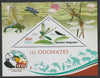 Madagascar 2019 Darwin 160th Anniversary of Publication of The Origin of Species - Dragon Flies #2 perf deluxe sheet containing one triangular value unmounted mint