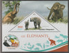 Madagascar 2019 Darwin 160th Anniversary of Publication of The Origin of Species - Elephants #4 perf deluxe sheet containing one triangular value unmounted mint