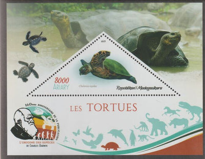 Madagascar 2019 Darwin 160th Anniversary of Publication of The Origin of Species - Turtles #1 perf deluxe sheet containing one triangular value unmounted mint