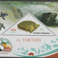 Madagascar 2019 Darwin 160th Anniversary of Publication of The Origin of Species - Turtles #2 perf deluxe sheet containing one triangular value unmounted mint
