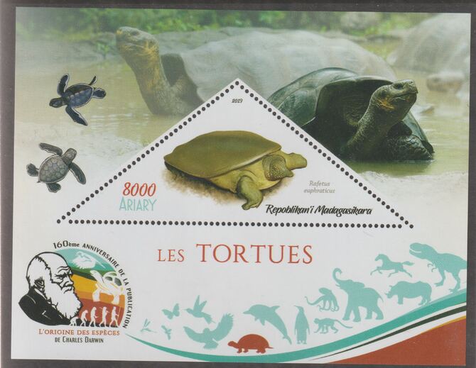 Madagascar 2019 Darwin 160th Anniversary of Publication of The Origin of Species - Turtles #2 perf deluxe sheet containing one triangular value unmounted mint