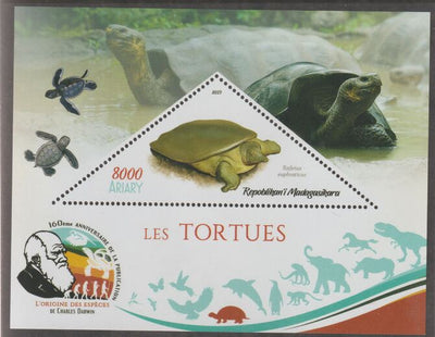 Madagascar 2019 Darwin 160th Anniversary of Publication of The Origin of Species - Turtles #2 perf deluxe sheet containing one triangular value unmounted mint