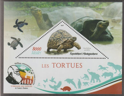Madagascar 2019 Darwin 160th Anniversary of Publication of The Origin of Species - Turtles #3 perf deluxe sheet containing one triangular value unmounted mint