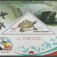 Madagascar 2019 Darwin 160th Anniversary of Publication of The Origin of Species - Turtles #4 perf deluxe sheet containing one triangular value unmounted mint