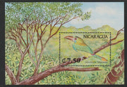 Nicaragua 1992 Birds - Toucanet perf m/sheet unmounted mint SG MS3182