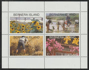 Bernera 1996 Chinese Agriculture perf sheetlet containing 4 values unmounted mint