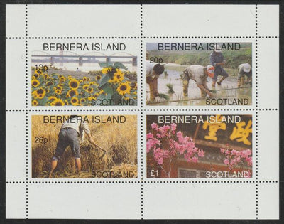 Bernera 1996 Chinese Agriculture perf sheetlet containing 4 values unmounted mint