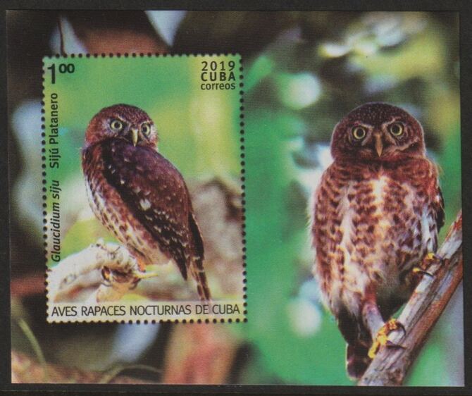 Cuba 2019 Birds of Prey imperf m/sheet unmounted mint
