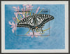 Burkina  Faso 1998 Swallowtail Butterfly perf souvenir sheet unmounted mint