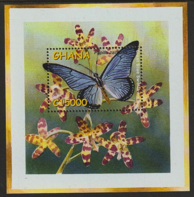 Ghana 2002 Giant Blue Swallowtail Butterfly perf souvenir sheet unmounted mint SG MS3341b