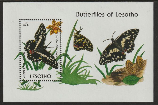 Lesotho 1990 Butterfly perf souvenir sheet unmounted mint SG MS957