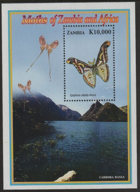 Zambia 2005 Butterfly perf souvenir sheet unmounted mint SG MS963