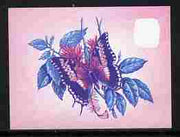 Lesotho 1984 Butterflies Foxy Charaxes 30s imperf proof in blue & magenta colours only minor wrinkles but unmounted mint as SG 573