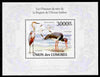 Comoro Islands 2009 Birds from Indian Ocean Region perf m/sheet unmounted mint, Michel BL 575