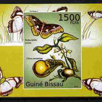 Guinea - Bissau 2010 Butterflies #09 individual imperf deluxe sheet unmounted mint. Note this item is privately produced and is offered purely on its thematic appeal