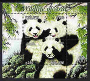 Malawi 2011 Wildlife of Asia #3 - Pandas perf sheetlet containing 2 values unmounted mint