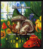 Malawi 2011 Mushrooms #2 perf sheetlet containing 2 values unmounted mint