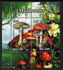 Malawi 2011 Mushrooms #3 perf sheetlet containing 2 values cto used