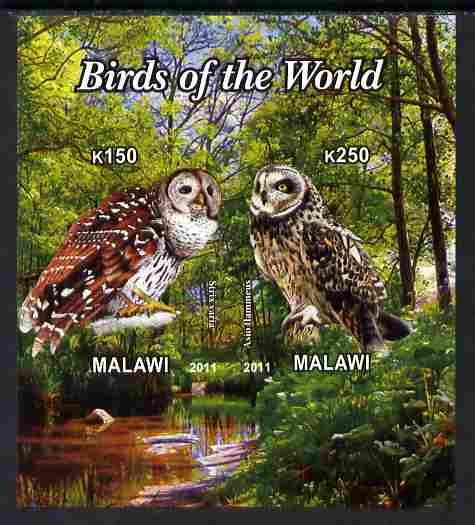 Malawi 2011 Birds of the World #3 - Owls imperf sheetlet containing 2 values unmounted mint