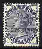 Great Britain 1883-84 QV 1/2d slate-blue overprinted SPECIMEN type 9 mounted mint SG 187s