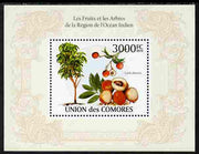Comoro Islands 2010 Fruits & Trees from the Indian Ocean Region perf s/sheet unmounted mint, Michel BL 568