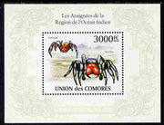 Comoro Islands 2010 Spiders from the Indian Ocean Region perf s/sheet unmounted mint, Michel BL 571