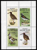 Shetland Islands 1995 Birds perf set of 4 unmounted mint