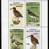 Shetland Islands 1995 Birds perf set of 4 unmounted mint