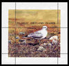 Shetland Islands 1995 Birds perf m/sheet with perforations dramatically misplaced dowmwards by 9mm unmounted mint