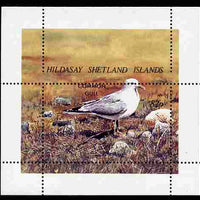 Shetland Islands 1995 Birds perf m/sheet with perforations dramatically misplaced dowmwards by 9mm unmounted mint