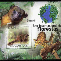 Mozambique 2011 International Year of Forests - Honey Bear perf s/sheet unmounted mint
