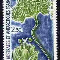 French Southern & Antarctic Territories 1993 Lyallia kerguelensis 2f30 unmounted mint SG 309