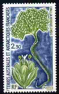 French Southern & Antarctic Territories 1993 Lyallia kerguelensis 2f30 unmounted mint SG 309