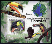 Mozambique 2011 International Year of the Forest - Toucans perf m/sheet unmounted mint, Michel BL417