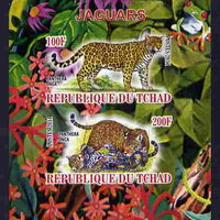 Chad 2011 Leopards imperf sheetlet containing 2 values unmounted mint