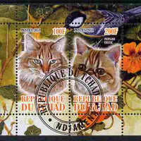 Chad 2011 Domestic Cats perf sheetlet containing 2 values cto used