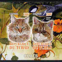 Chad 2011 Domestic Cats imperf sheetlet containing 2 values unmounted mint