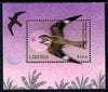 Liberia 2010 Birds perf m/sheet - Night Hawk unmounted mint