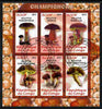 Congo 2011 Fungi perf sheetlet containing 6 values fine cto used