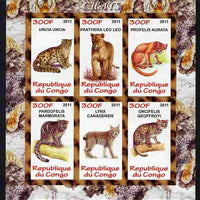 Congo 2011 Wild Cats imperf sheetlet containing 6 values unmounted mint