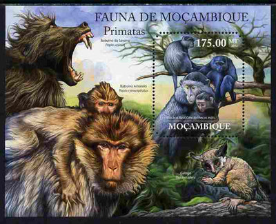 Mozambique 2011 Primates perf m/sheet containing octagonal shaped value unmounted mint