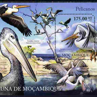 Mozambique 2011 Pelicans perf m/sheet containing octagonal shaped value unmounted mint